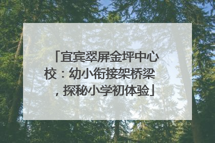 宜宾翠屏金坪中心校：幼小衔接架桥梁，探秘小学初体验