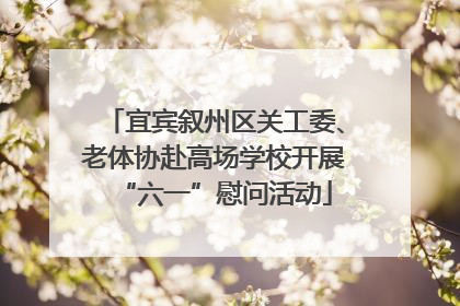 宜宾叙州区关工委、老体协赴高场学校开展“六一”慰问活动