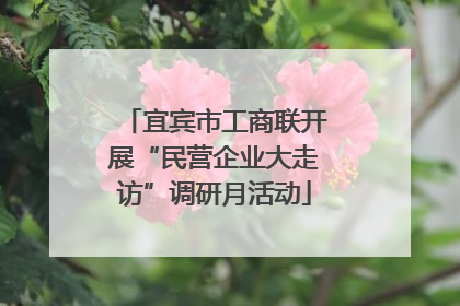 宜宾市工商联开展“民营企业大走访”调研月活动
