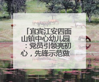 宜宾江安四面山镇中心幼儿园：党员引领亮初心，先锋示范做表率