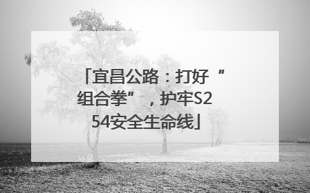 宜昌公路：打好“组合拳”，护牢S254安全生命线