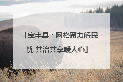 宝丰县：网格聚力解民忧 共治共享暖人心