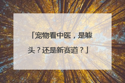 宠物看中医，是噱头？还是新赛道？