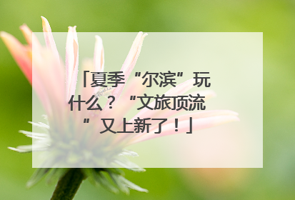 夏季“尔滨”玩什么？“文旅顶流”又上新了！