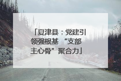 夏津县：党建引领强根基 “支部主心骨”聚合力