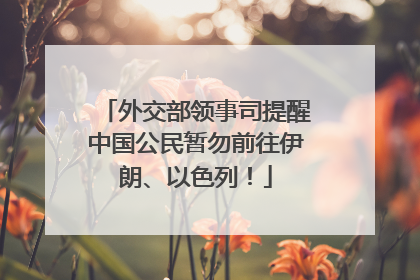 外交部领事司提醒中国公民暂勿前往伊朗、以色列！