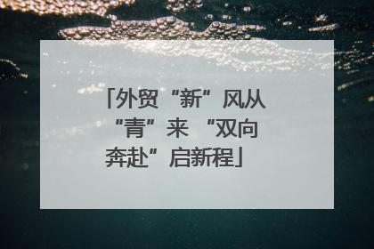 外贸“新”风从“青”来 “双向奔赴”启新程