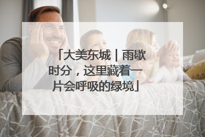 大美东城｜雨歇时分，这里藏着一片会呼吸的绿境