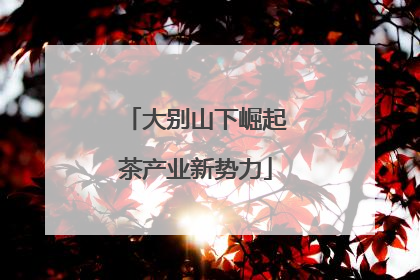 大别山下崛起茶产业新势力