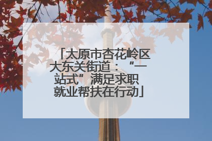 太原市杏花岭区大东关街道：“一站式”满足求职 就业帮扶在行动