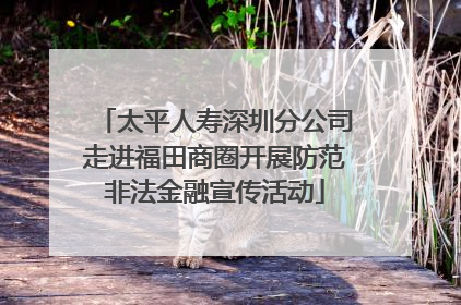 太平人寿深圳分公司走进福田商圈开展防范非法金融宣传活动