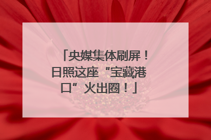 央媒集体刷屏！日照这座“宝藏港口”火出圈！