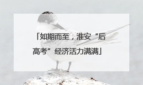 如期而至，淮安“后高考”经济活力满满