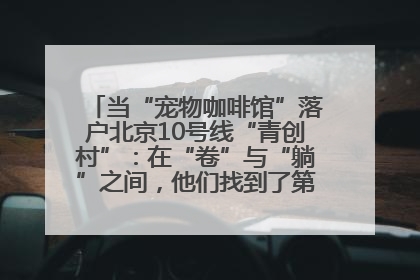 当“宠物咖啡馆”落户北京10号线“青创村”：在“卷”与“躺”之间，他们找到了第三种生活公式