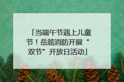当端午节遇上儿童节！岳麓消防开展“双节”开放日活动