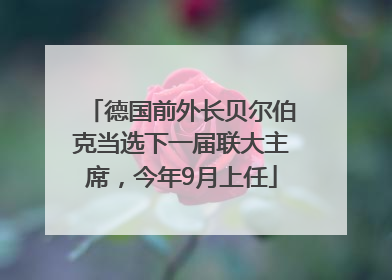 德国前外长贝尔伯克当选下一届联大主席，今年9月上任