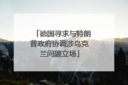 德国寻求与特朗普政府协调涉乌克兰问题立场