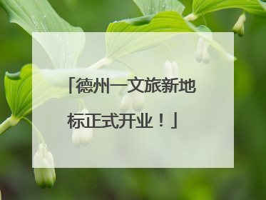 德州一文旅新地标正式开业！