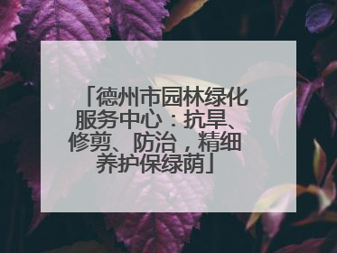 德州市园林绿化服务中心：抗旱、修剪、防治，精细养护保绿荫