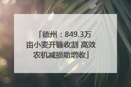 德州：849.3万亩小麦开镰收割 高效农机减损助增收