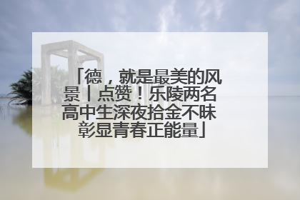 德，就是最美的风景丨点赞！乐陵两名高中生深夜拾金不昧 彰显青春正能量