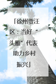 徐州贾汪区：当好“头雁”代表 助力乡村振兴