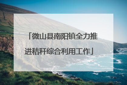 微山县南阳镇全力推进秸秆综合利用工作
