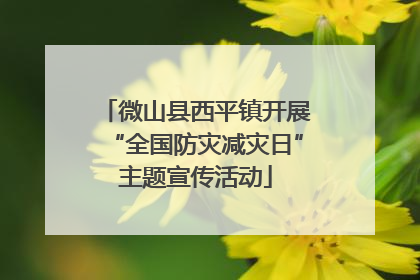 微山县西平镇开展“全国防灾减灾日”主题宣传活动