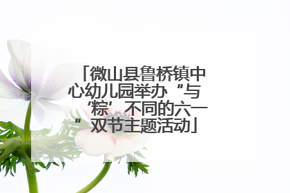 微山县鲁桥镇中心幼儿园举办“与‘粽’不同的六一”双节主题活动