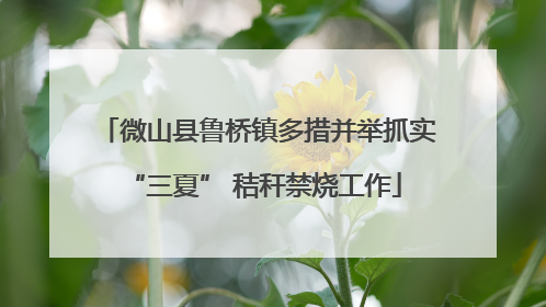 微山县鲁桥镇多措并举抓实 “三夏” 秸秆禁烧工作