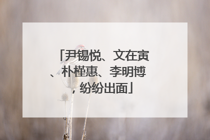 尹锡悦、文在寅、朴槿惠、李明博，纷纷出面