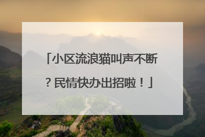 小区流浪猫叫声不断？民情快办出招啦！