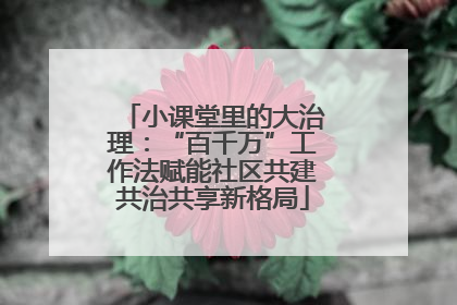 小课堂里的大治理：“百千万”工作法赋能社区共建共治共享新格局