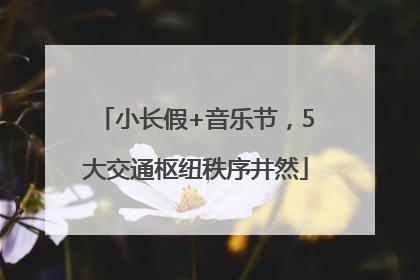 小长假+音乐节，5大交通枢纽秩序井然