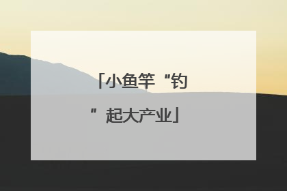 小鱼竿“钓”起大产业