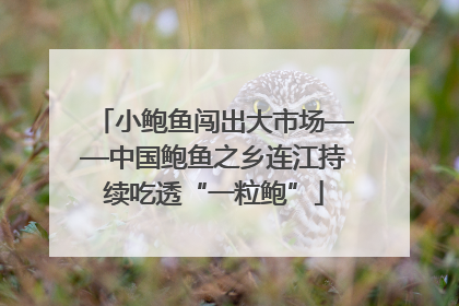 小鲍鱼闯出大市场——中国鲍鱼之乡连江持续吃透“一粒鲍”