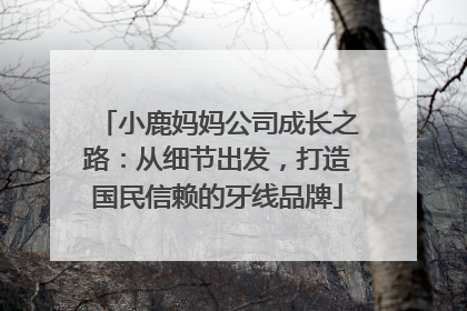 小鹿妈妈公司成长之路：从细节出发，打造国民信赖的牙线品牌