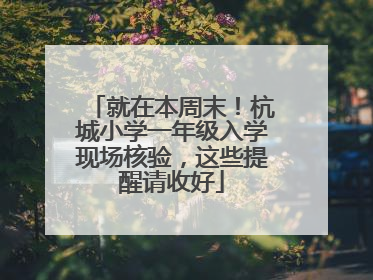 就在本周末！杭城小学一年级入学现场核验，这些提醒请收好