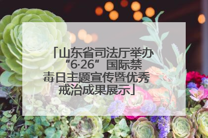 山东省司法厅举办“6·26”国际禁毒日主题宣传暨优秀戒治成果展示