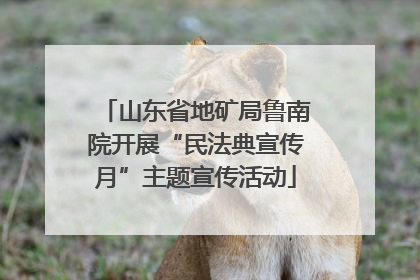 山东省地矿局鲁南院开展“民法典宣传月”主题宣传活动