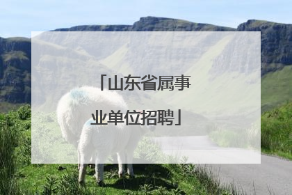 山东省属事业单位招聘
