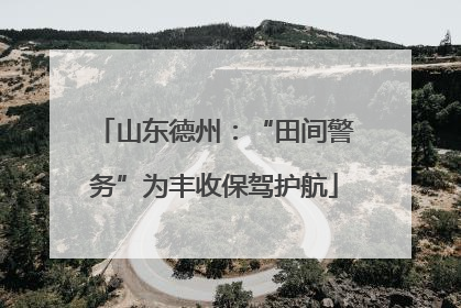 山东德州：“田间警务”为丰收保驾护航