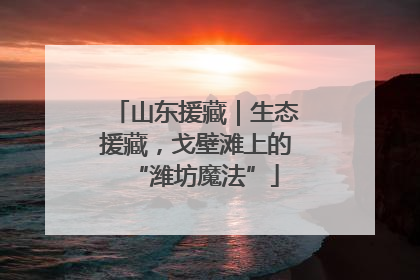 山东援藏｜生态援藏，戈壁滩上的“潍坊魔法”