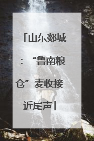 山东郯城：“鲁南粮仓”麦收接近尾声