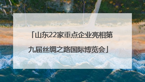 山东22家重点企业亮相第九届丝绸之路国际博览会