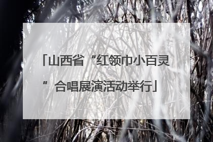 山西省“红领巾小百灵”合唱展演活动举行