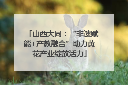 山西大同：“非遗赋能+产教融合”助力黄花产业绽放活力