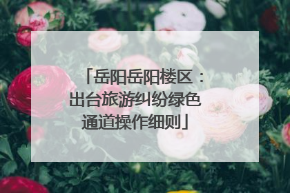 岳阳岳阳楼区：出台旅游纠纷绿色通道操作细则