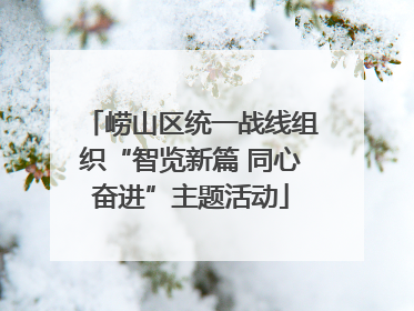 崂山区统一战线组织“智览新篇 同心奋进”主题活动