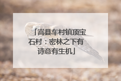 嵩县车村镇顶宝石村：密林之下有诗意有生机